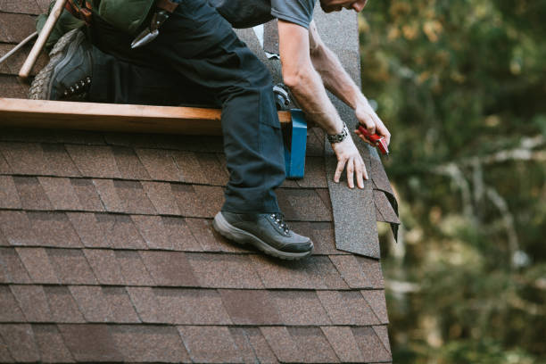 Best Roof Leak Repair  in Scott, LA